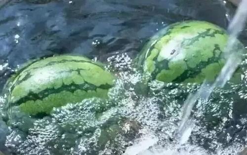 像这样的夏天,清凉时光