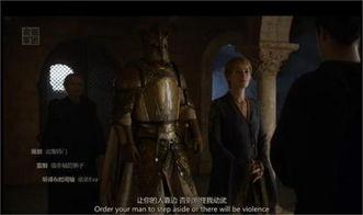 傲骨之战 第六季